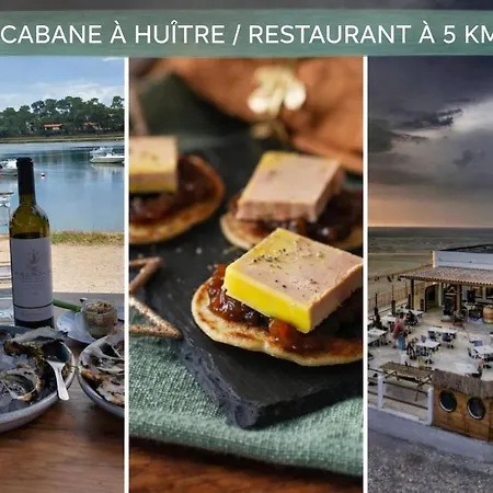 Le Cocon Secret -jacuzzi Sauna Prives -plage-foret-massage *