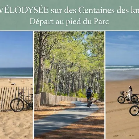 Le Cocon Secret -jacuzzi Sauna Prives -plage-foret-massage *