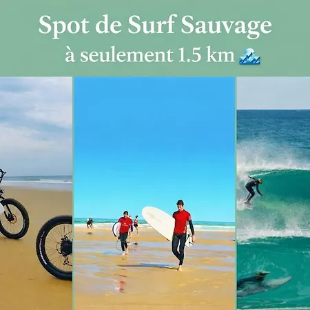 Le Cocon Secret -jacuzzi Sauna Prives -plage-foret-massage Villa Seignosse